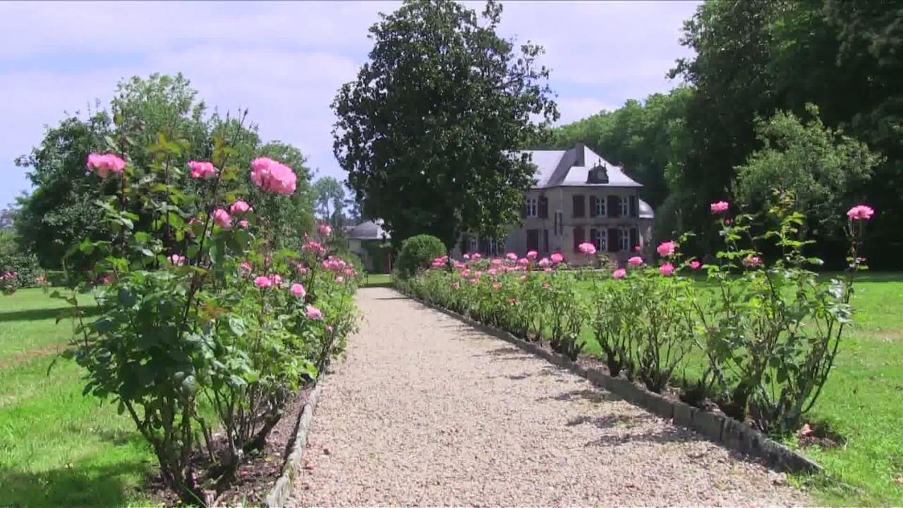Chateau D'Urtubie Urrugne Bagian luar foto